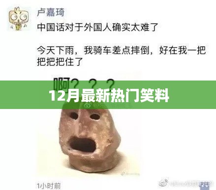 12月最新热门搞笑集锦