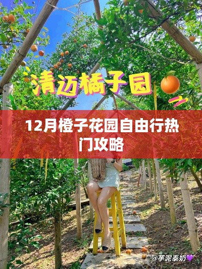 12月橙子花园自由行指南