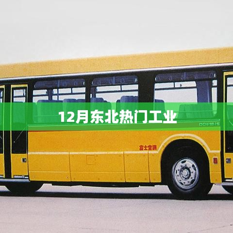 东北十二月热门工业动态