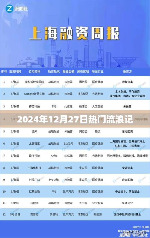 流浪记，揭秘2024年热点事件