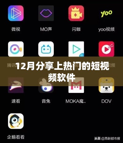 热门短视频软件分享，12月短视频热潮来袭