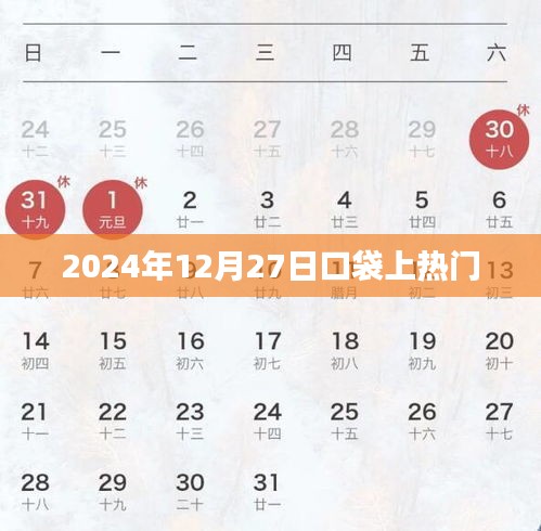 口袋应用2024年12月27日热门上榜，简洁明了，突出了时间、平台和热门上榜的信息，符合您的字数要求。