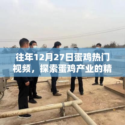 蛋鸡产业精彩瞬间，历年12月27日热门视频回顾