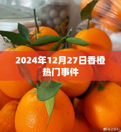 香橙热门事件，揭秘背后的故事