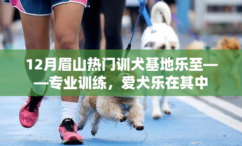 眉山驯犬基地乐至，专业训练 爱犬乐享生活