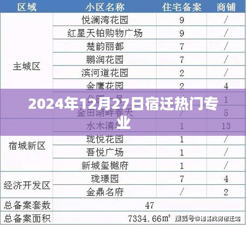 宿迁热门专业趋势解析（2024年12月）