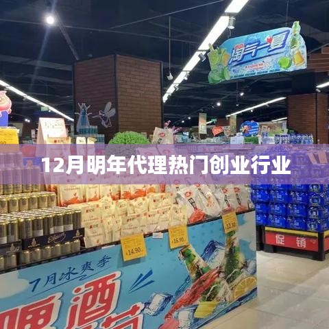 12月代理热门创业行业展望