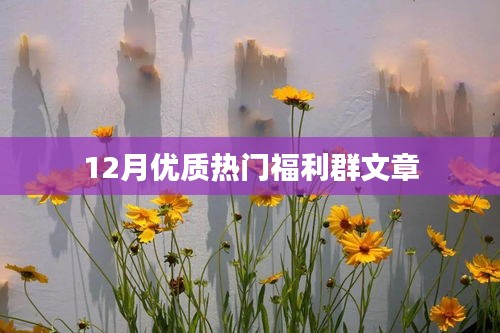 12月热门福利群大揭秘，优质福利一网打尽