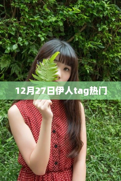 伊人tag热门动态 12月27日聚焦