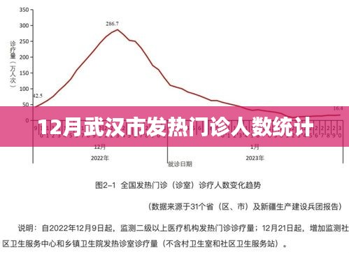武汉十二月发热门诊人数统计报告