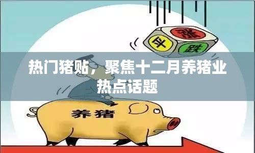 热门猪贴聚焦，十二月养猪业热点话题解析
