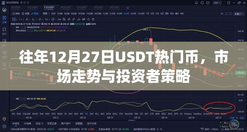 往年12月27日USDT市场走势及投资者策略解析