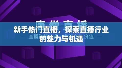 新手热门直播，行业魅力与机遇探索
