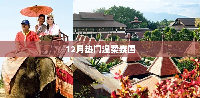 泰国十二月温柔风情大赏