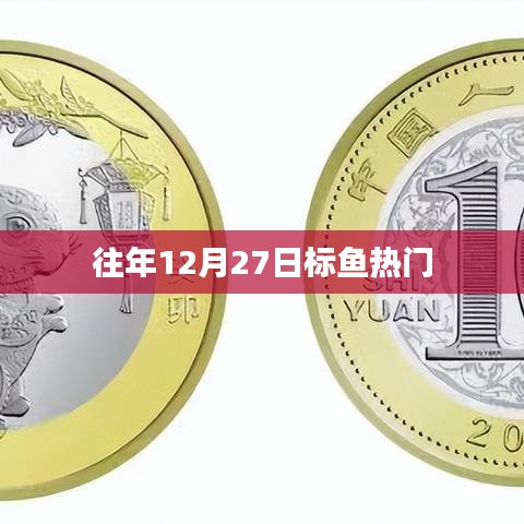 往年12月27日热门标鱼活动概览