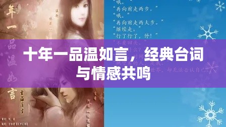 十年一品温如言，经典台词与情感深度共鸣