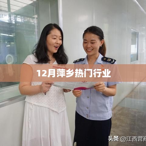 萍乡十二月行业热点聚焦