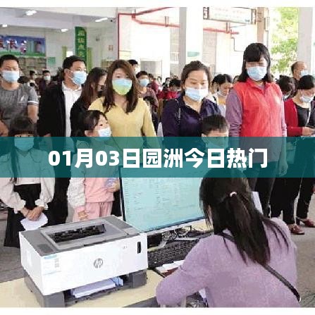 园洲最新热门资讯，01月03日动态