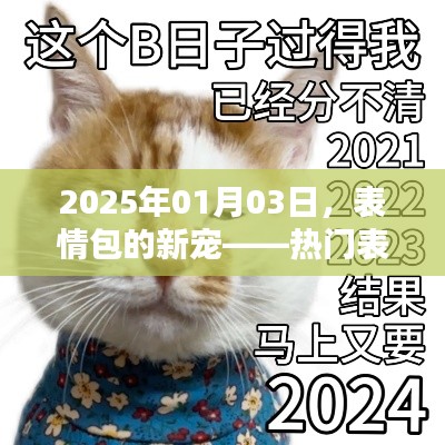 2025年热门表情包揭晓，新宠来袭！