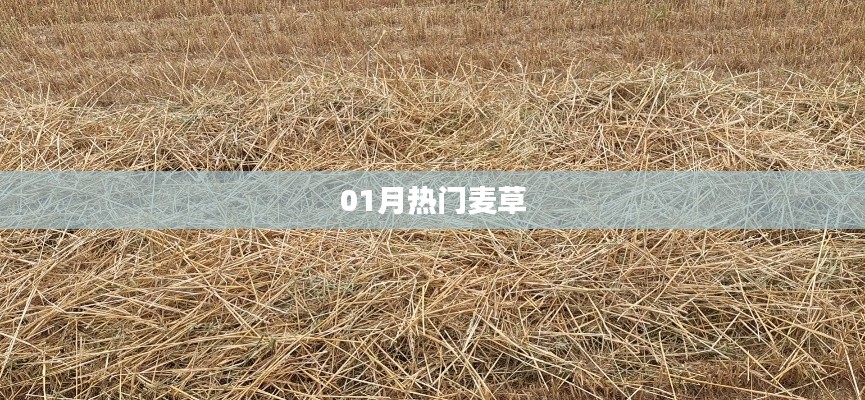 堂堂正正 第2页