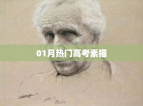高考素描一月热点解析