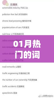 精选一月热门词汇概览