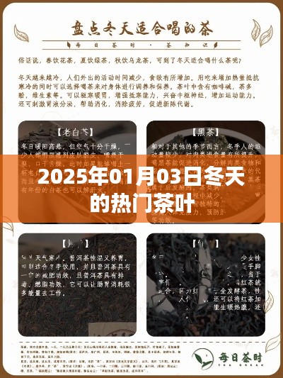 『2025年冬季热门茶叶一览』