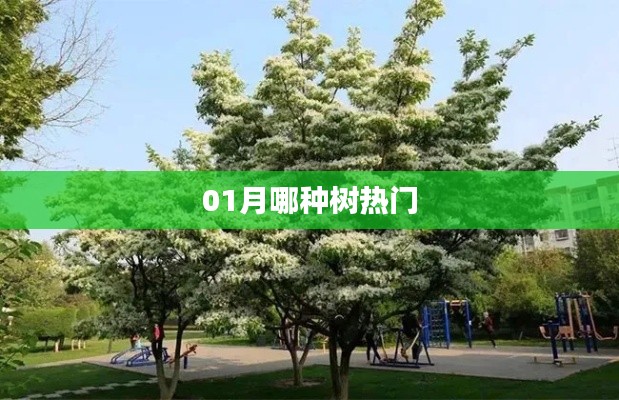 一月热门树种揭晓