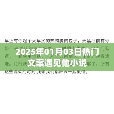 遇见他小说，2025年元旦的热门文案之旅