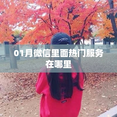微信热门服务位置解析，一月热点服务大盘点