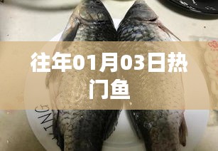 『历年元旦后热门鱼类盘点』