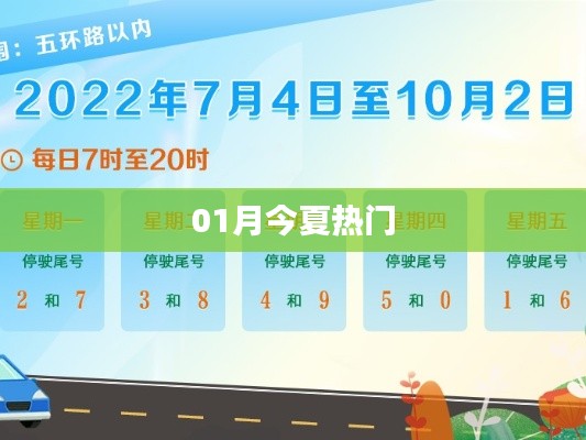 今夏热门事件回顾