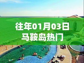 马鞍岛历年一月初热门事件回顾