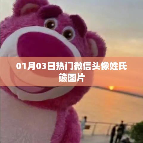 微信头像姓氏熊图片，熊氏专属头像分享