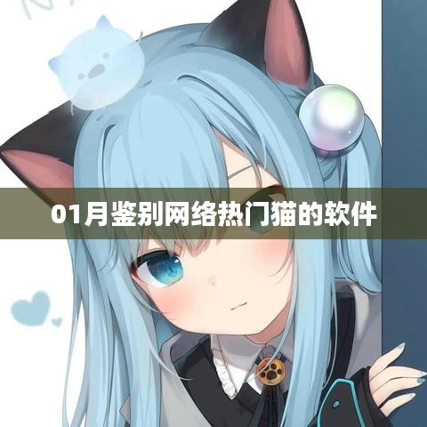 网络热门猫软件鉴别指南，一月精选推荐