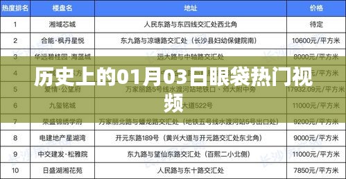 1月3日历史热门视频回顾