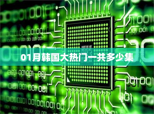 韩国大热门一月热播系列剧集总数揭秘