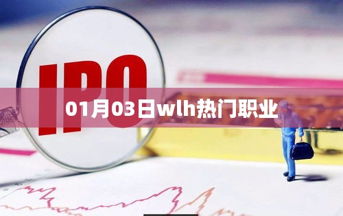 WLH热门职业趋势解析（日期，01月03日）