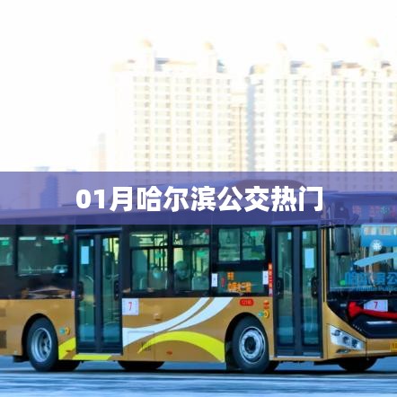哈尔滨公交一月出行热门选择