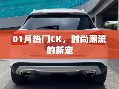 木乾鸟栖 第3页