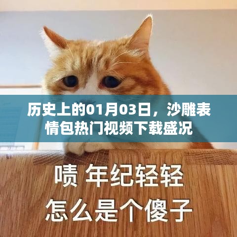 沙雕表情包热门视频下载盛况，历史一月三日回顾