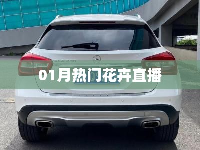 精选花卉直播，一月热门不容错过