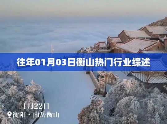 衡山热门行业年度综述，一月份行业动态概览