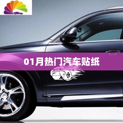 精选汽车贴纸大赏，一月热门车型盘点