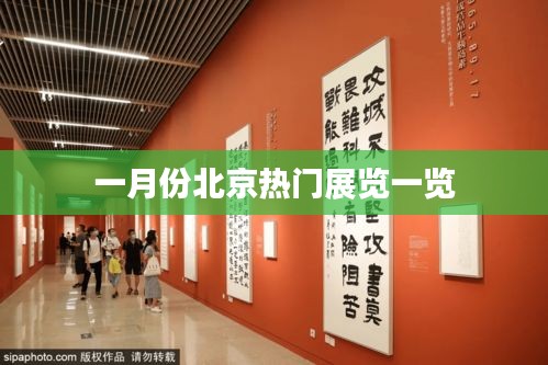 一月份北京热门展览全攻略