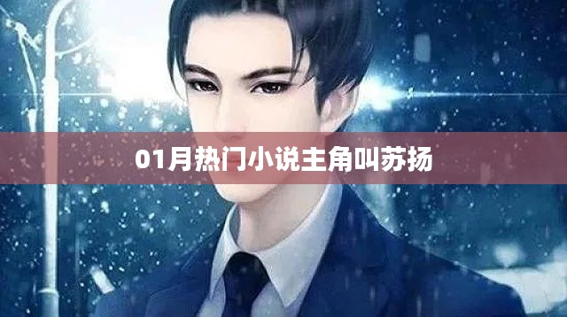 『01月大热小说主角揭秘，苏扬传奇』