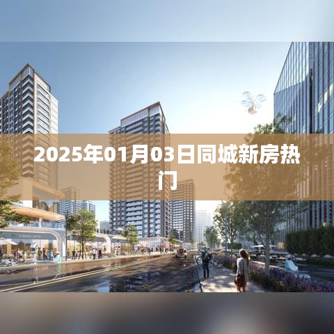 2025年同城新房热点解析