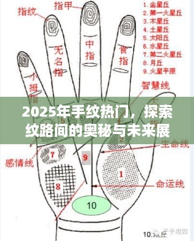 2025手纹奥秘探索，纹路趋势展望与未来应用