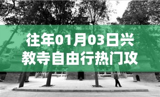 兴教寺自由行热门攻略，一日游精彩体验