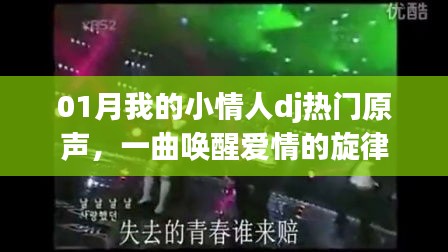 唤醒爱情的旋律，01月热门DJ原声，我的小情人